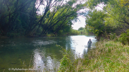 bartlett_creek_008_nzl2018