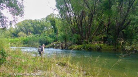 bartlett_creek_003_nzl2018