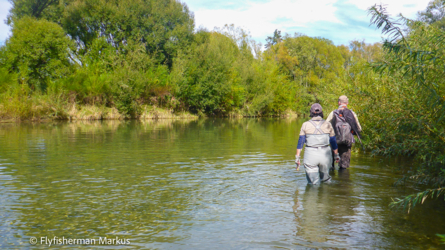 bartlett_creek_005_nzl2018