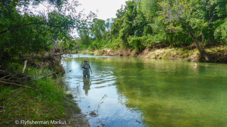 bartlett_creek_006_nzl2018