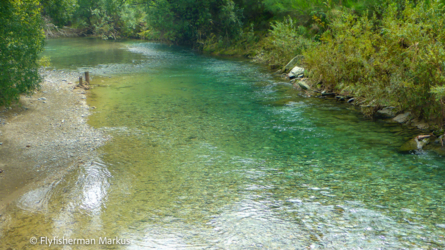 bartlett_creek_013_nzl2018