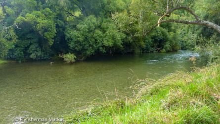 rai_river_004_nzl2018