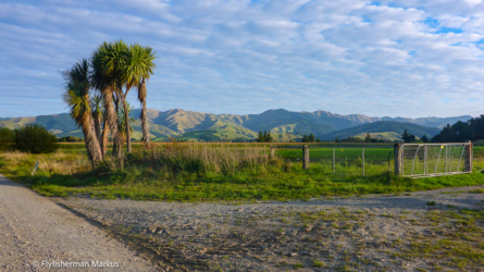 goulter_river_009- NZL2018-