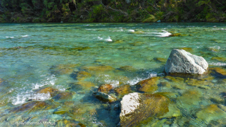 goulter_river_007- NZL2018-