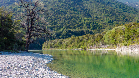 goulter_river_006- NZL2018-