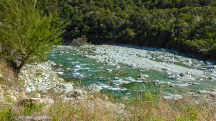 goulter_river_002- NZL2018-
