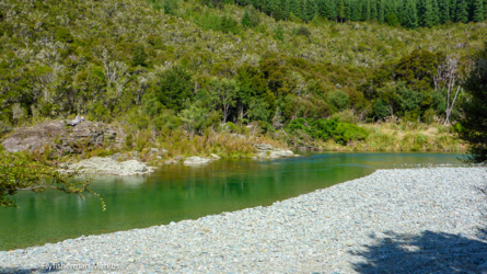 goulter_river_005- NZL2018-
