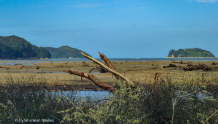 kaiteriteri_005- NZL2018-