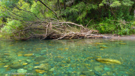 baton_river_004_NZL2018-