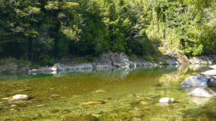 karamea_river_015_NZL2018