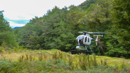 karamea_river_034_NZL2018