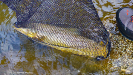 karamea_river_009_NZL2018