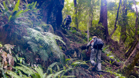 karamea_river_018_NZL2018