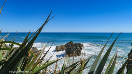 nelson-harihari_003_nzl2018