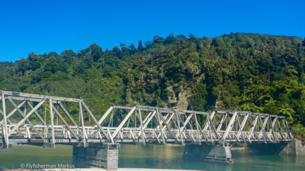nelson-harihari_008_nzl2018