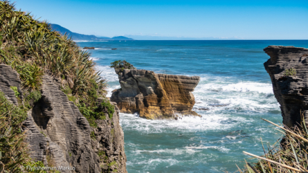 nelson-harihari_004_nzl2018
