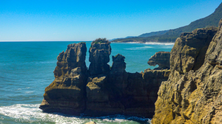 nelson-harihari_007_nzl2018