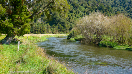 harihari-lafontaine_005_nzl2018