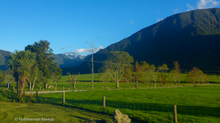 nelson-harihari_009_nzl2018