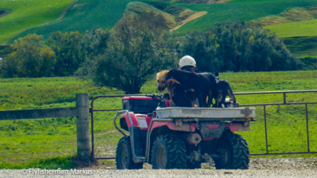 waikaia-003-nzl2018