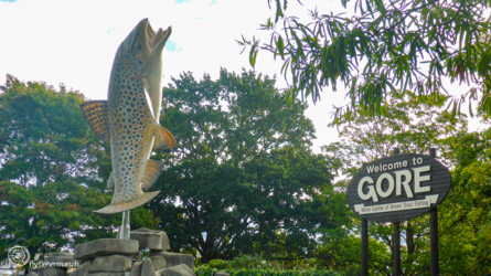 gore-001-nzl2018