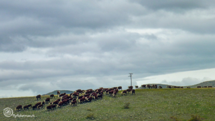 twizel_005_nzl2018