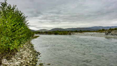 Tekapo River - leider nur kleinere Forellen gefunden