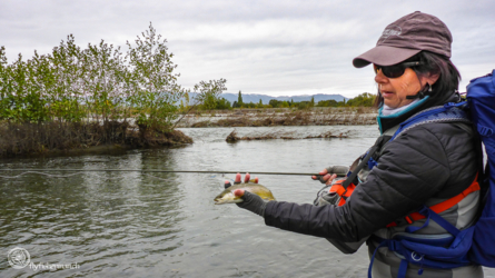 tekapo_river_003_nzl2018