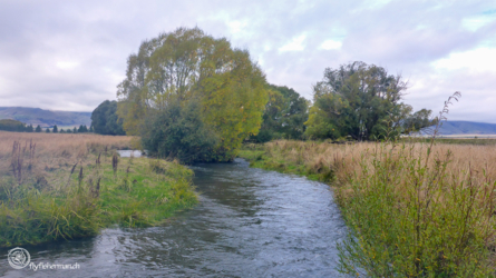 grays_river_002_nzl2018