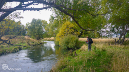 Grays River (Nebenfluss des Tekapo Rivers) - leider Hochwasser und eigentlich unfischbar