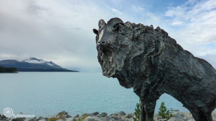 lake_pukaki_004_nzl2018