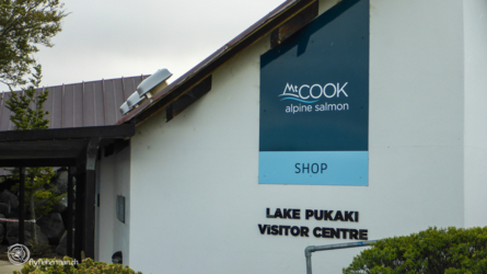 lake_pukaki_003_nzl2018