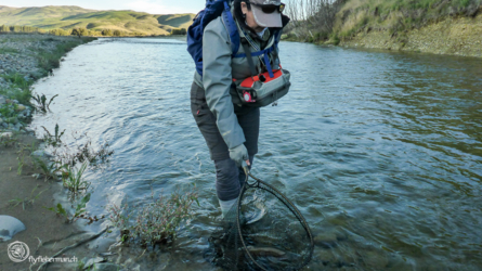 hakataramea_river_010_nzl2018