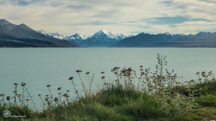 Mount Cook aus der Ferne