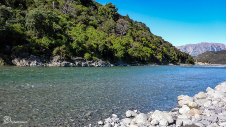 boyle_river_003_nzl2018