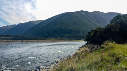 boyle_river_002_nzl2018