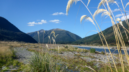 boyle_river_008_nzl2018