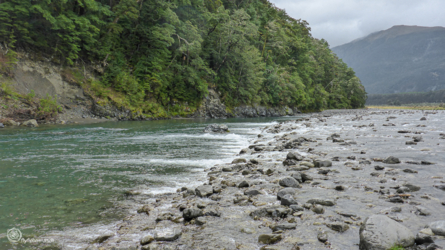boyle_river_013_nzl2018