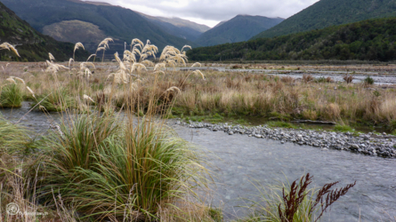 boyle_river_017_nzl2018