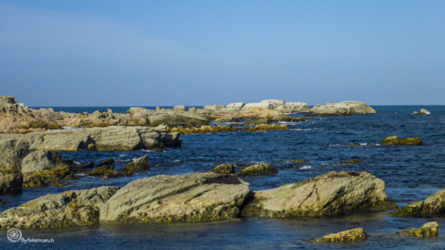 hanmer_springs-kaikoura_006_nzl2018