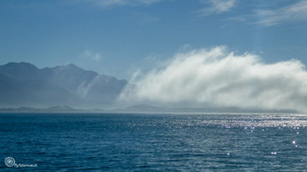 whale-watching_kaikoura_002_nzl2018