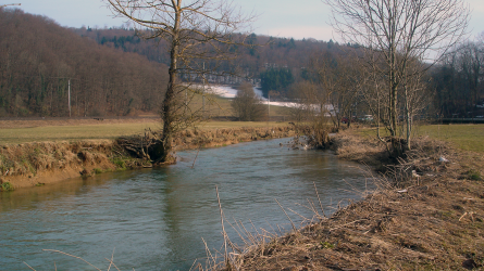 Allaine bei Courchavon - März 2006