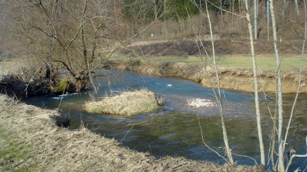 Schöner Lauf bei Courchavon