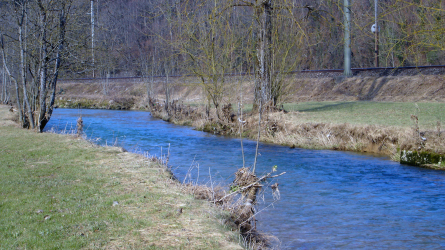allaine_3