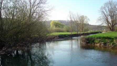 allaine10