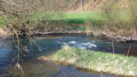 allaine11
