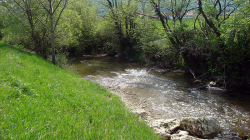 Lauf am Scheltenbach