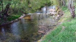 Die Schelte im Frühjahr 2009
