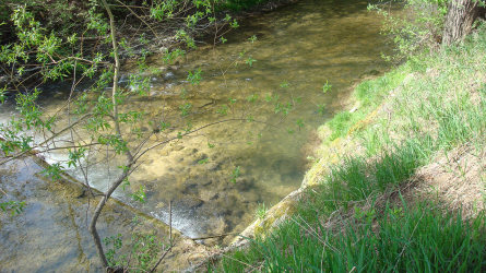 Kleiner Pool