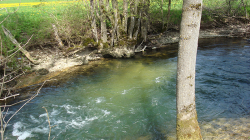 Auch tiefe Pools hat es an der Sorne